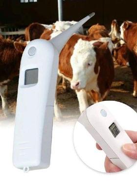 Animal Electronic Thermometer Pet Digital Rectal
