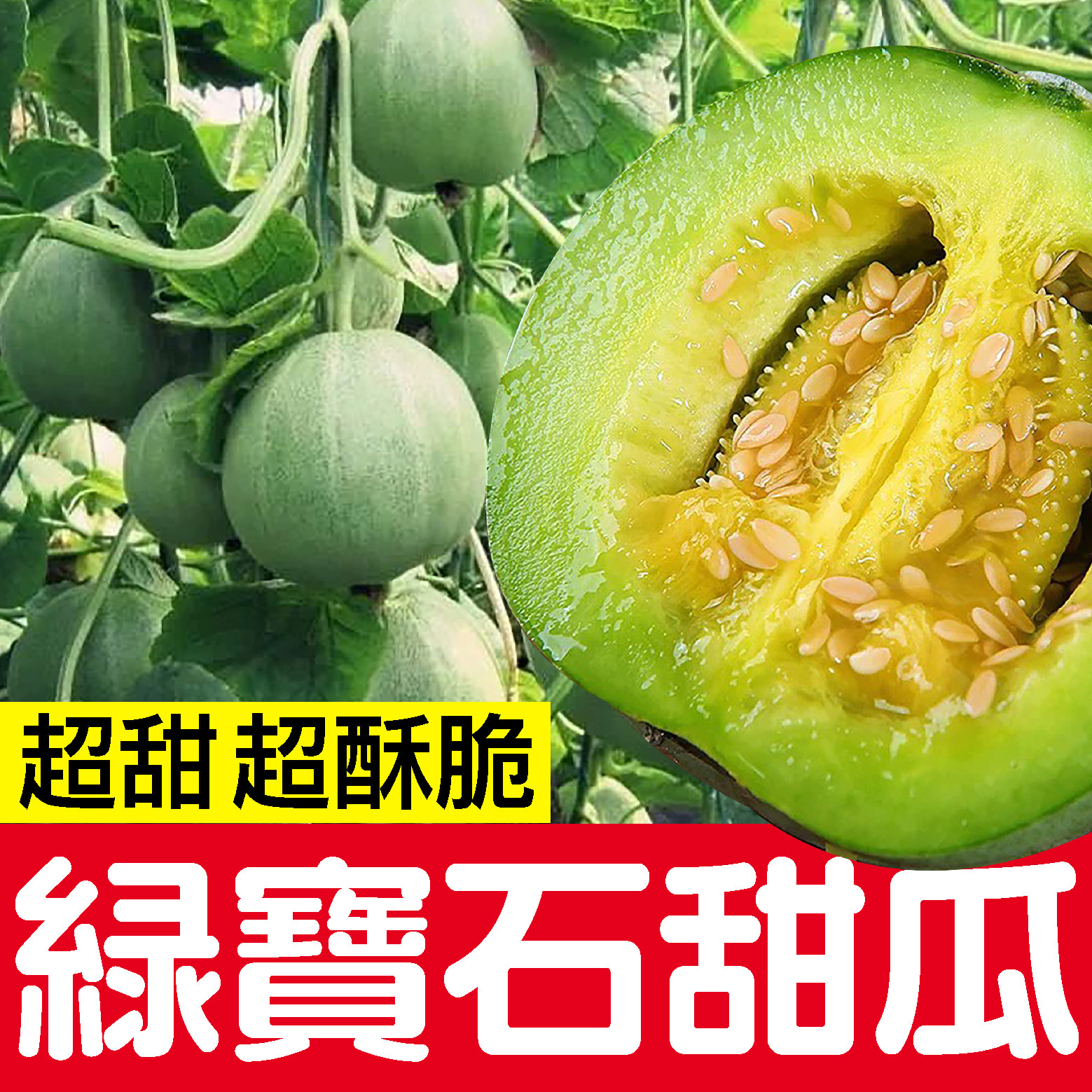 绿宝石甜瓜种子羊角蜜甜瓜种籽甜瓜苗羊角酥四季春秋超甜甜瓜种孑