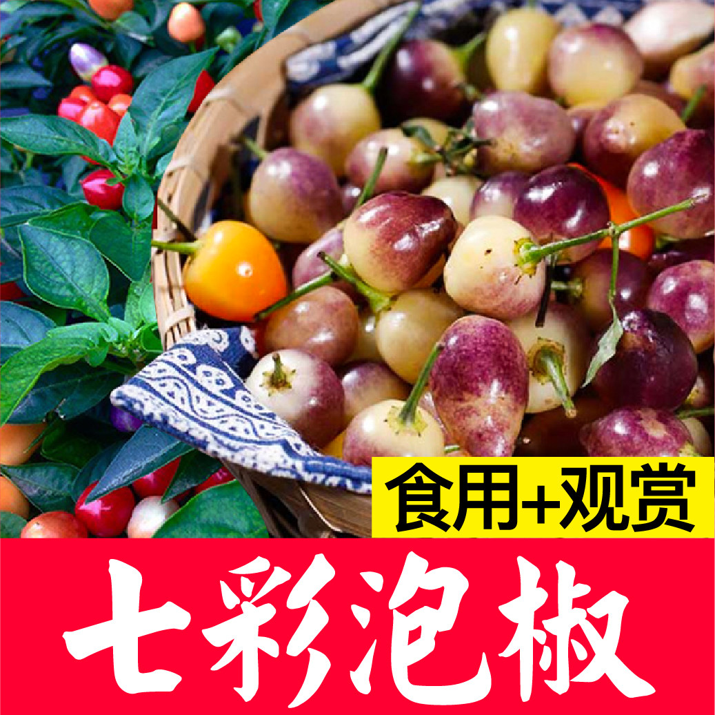 七彩泡椒辣种籽辣椒苗五彩多彩小辣椒朝天椒杭椒线椒青椒盆栽阳台
