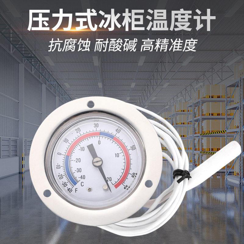 压力式冰箱温度计冰柜留样专用医药冷藏室冷冻柜高精度电子测温表