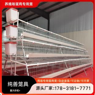 蛋鸡专用笼阶梯式加粗蛋鸡养殖笼镀锌鸡笼母鸡下蛋笼养鸡设备厂家