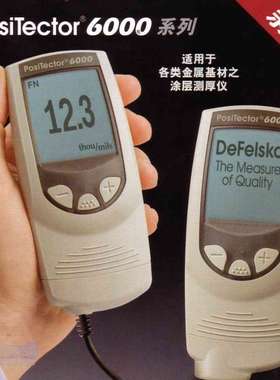 狄夫斯高DeFelsko 6000FT1 涂镀层测厚仪 F型一体化 探头0~6mm