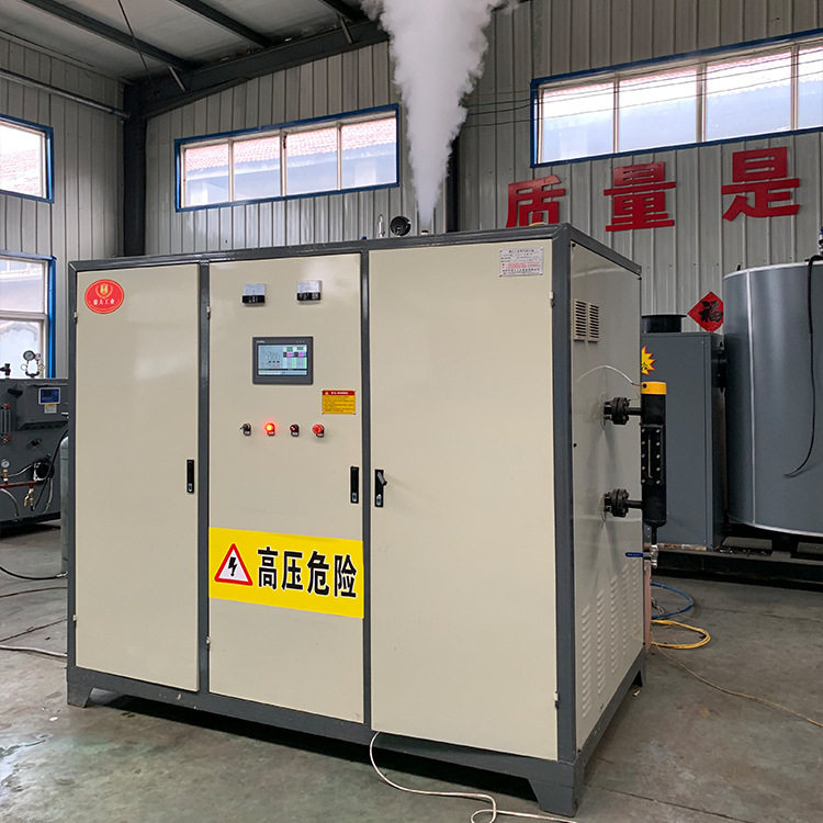 小型电磁感应蒸汽发生器免报检
