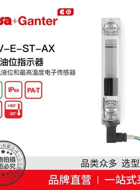ElesaGanter伊莉莎冈特HCV-E-ST-AX电控油位指示器