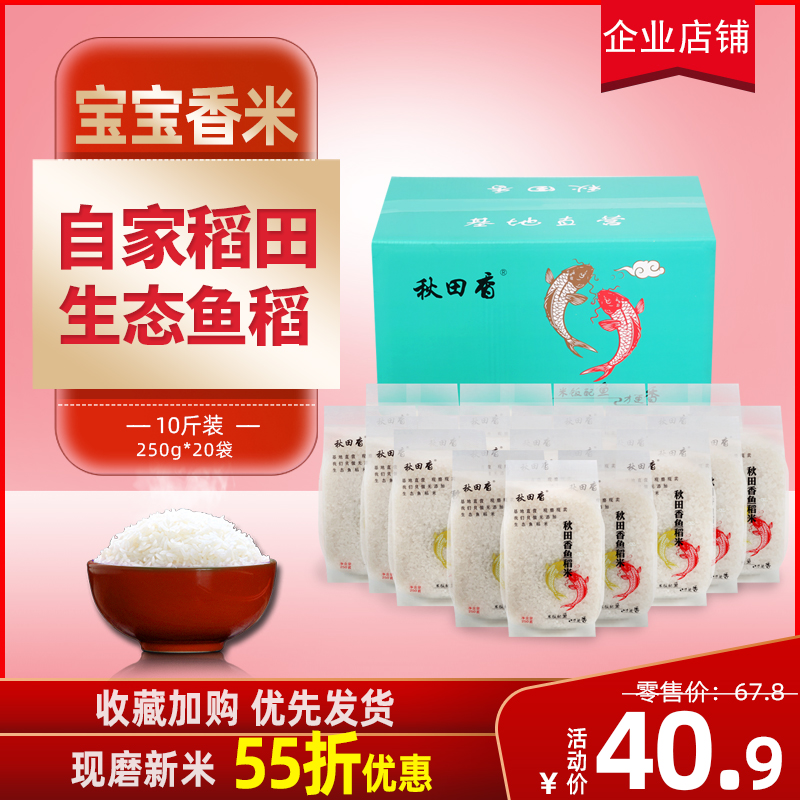 秋田香宝宝粥米 东北大米2025年新米 鱼稻米5kg 20包小包装 10斤