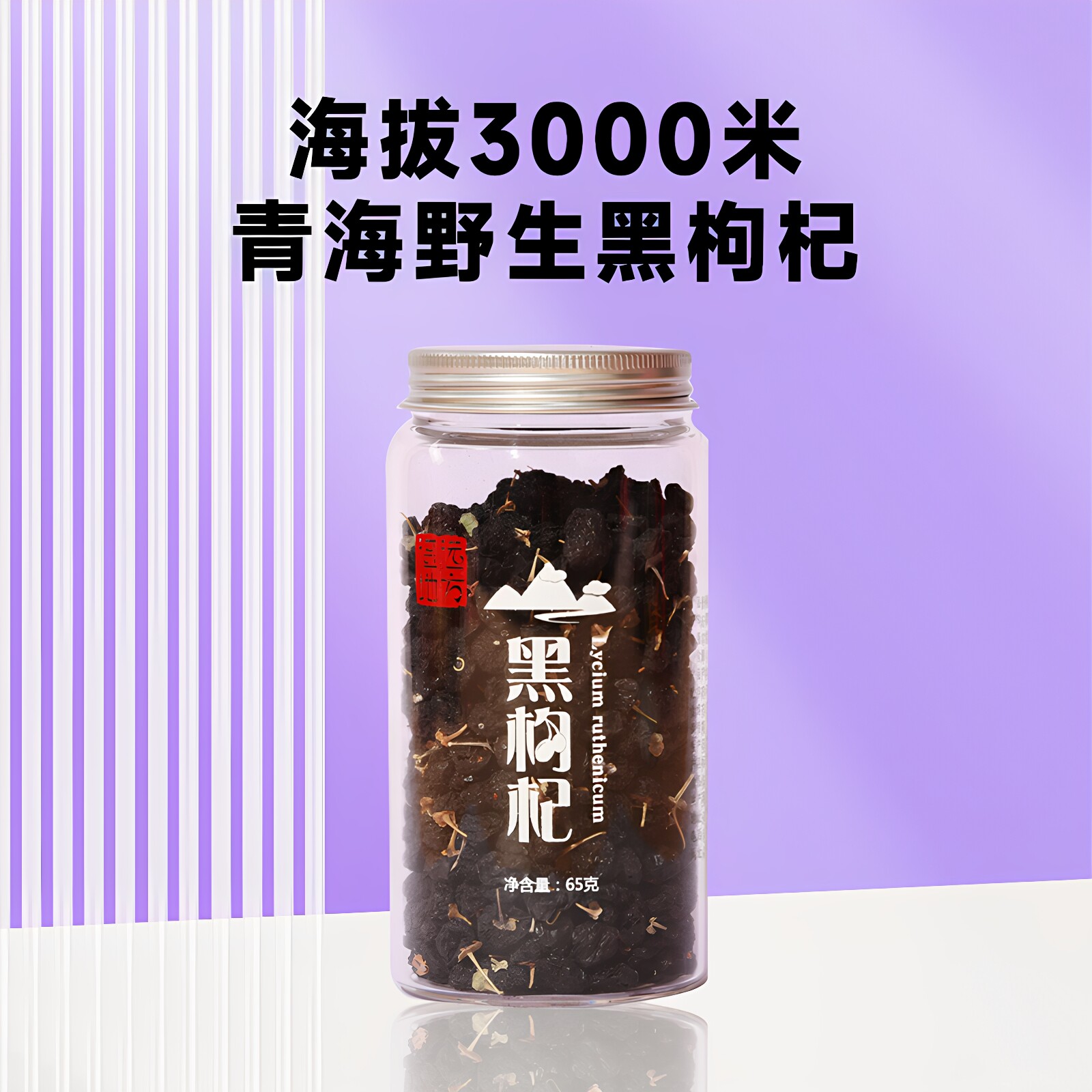 遥远地方野生黑枸杞青海