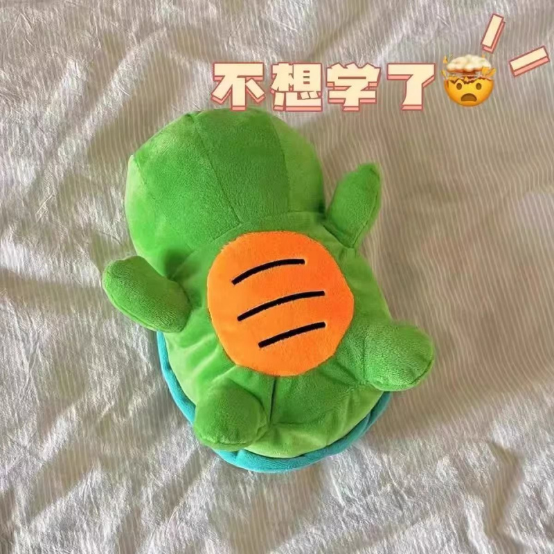 可爱韩版绿毛乌龟毛绒笔袋ins风