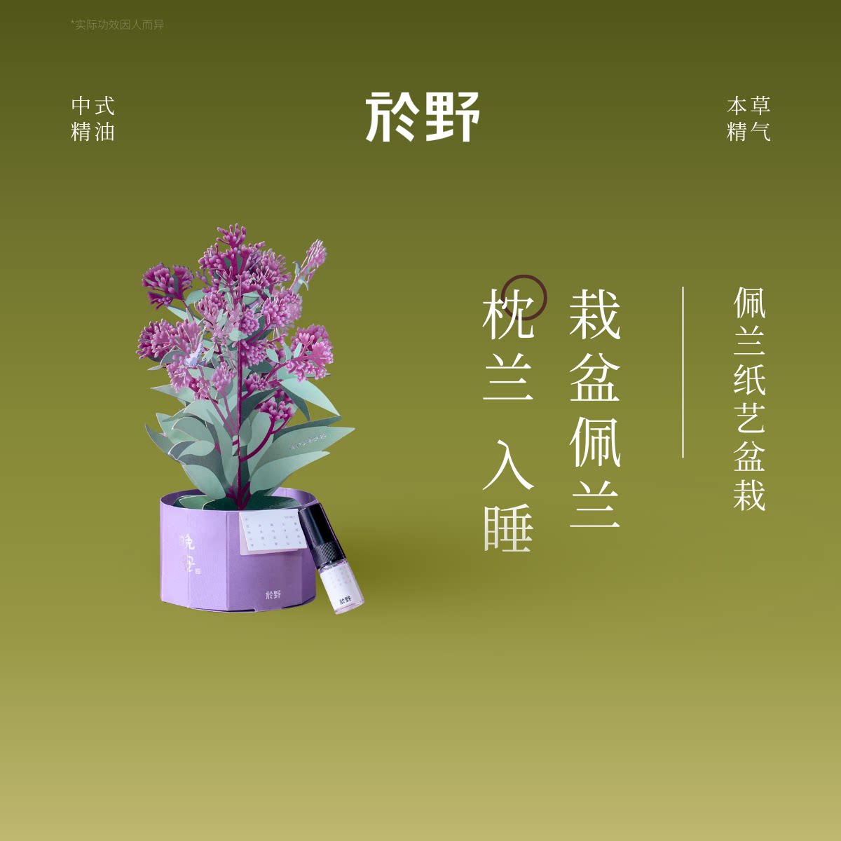 yuye於野佩兰睡眠香养盆栽 香薰摆件扩香片精油扩散深度好眠放松
