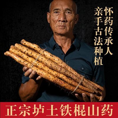 铁棍山药河南焦作温县官方旗舰店