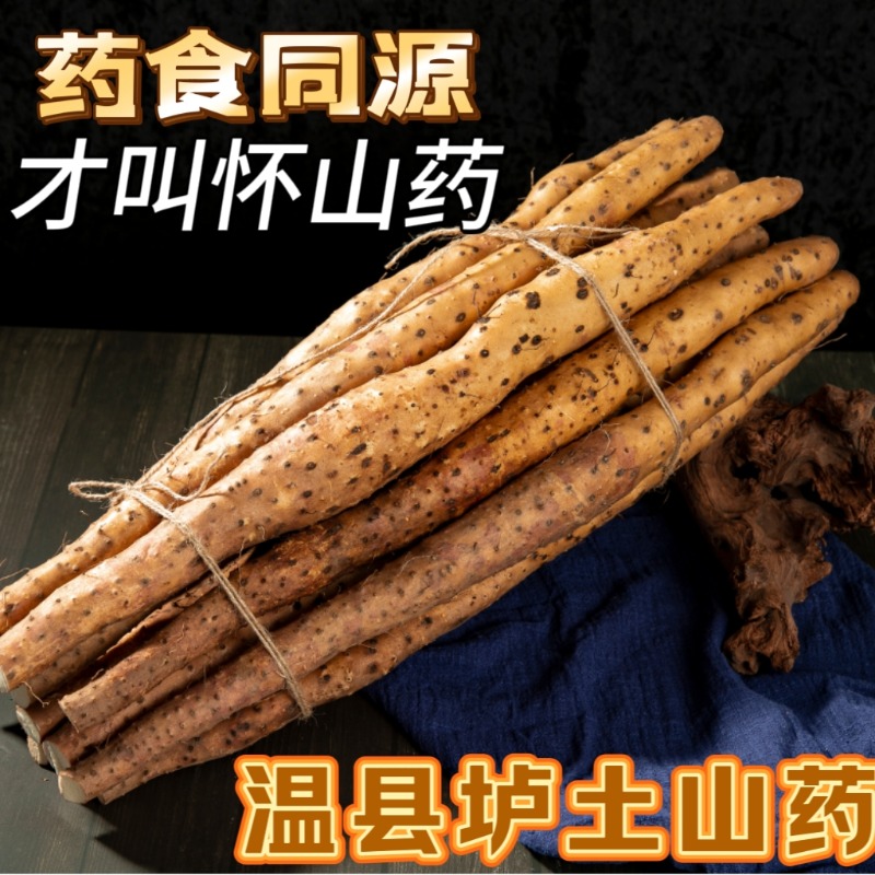 正宗的垆土铁棍怀山药