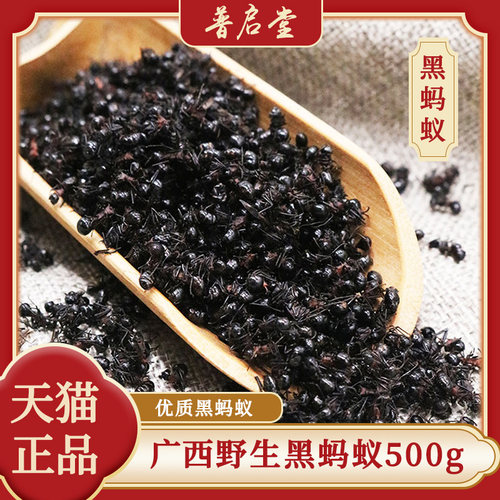 广西黑蚂蚁野生500g可泡酒磨粉