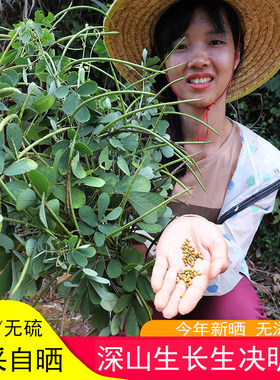 深山决明子药材农家晒夜关门