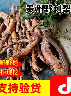 贵州野生新鲜刺梨根中药材 刺藜子根泡酒泡水野茨梨根现挖500克