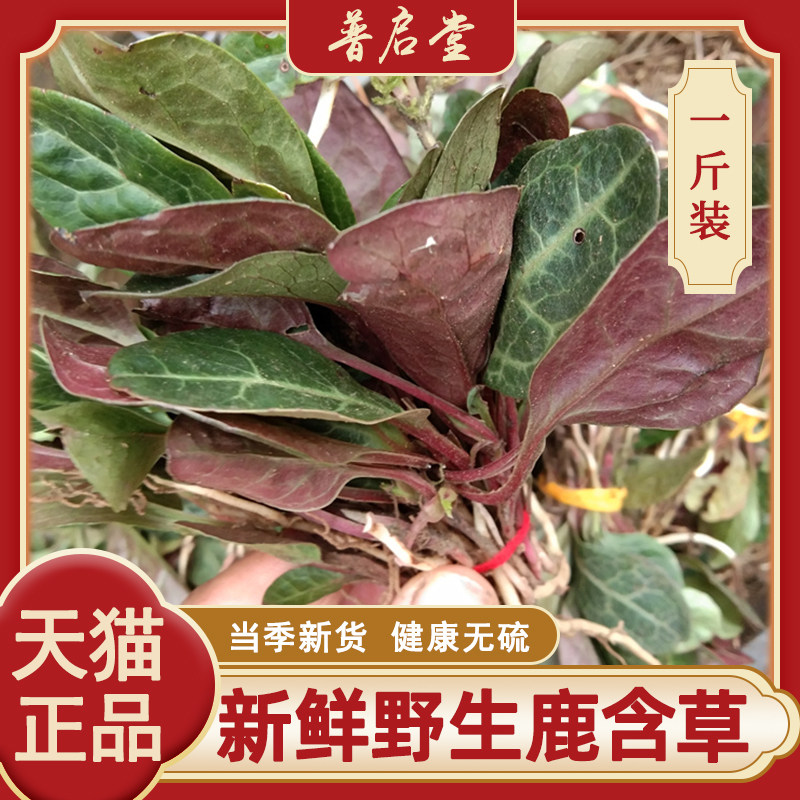贵州农产品新鲜鹿含草茶  鹿寿草 鹿蹄草 鹿衔草 紫背金牛草500克