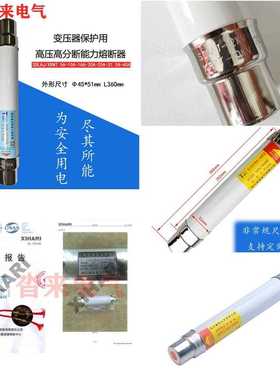 XRNT10KV12KV高压高分断能力熔断器SDLAJ负荷开关熔管10A16A31.5A