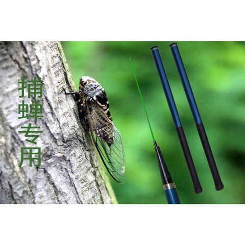 立减5元抓知了伸缩工具