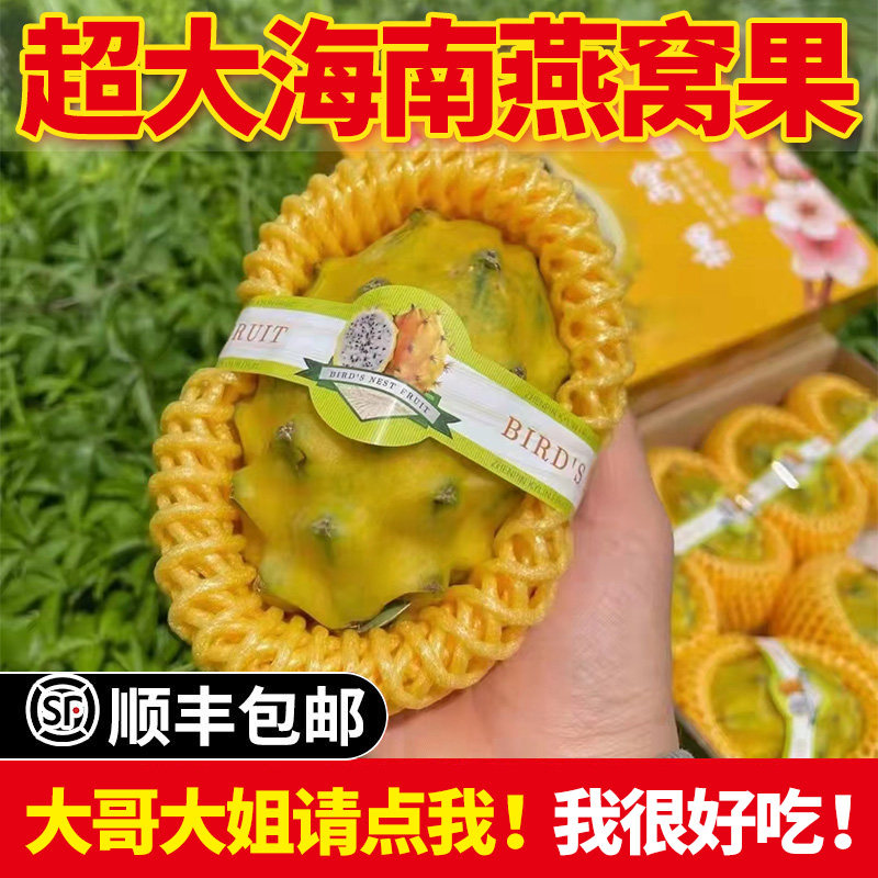 新鲜黄皮火龙果海南燕窝果麒麟果黄龙果现摘应季孕妇水果超甜大果