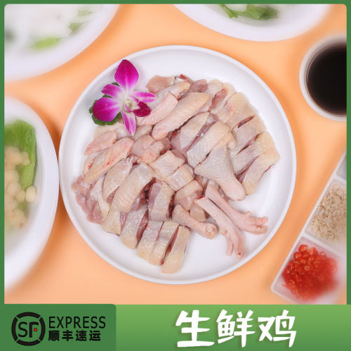 海南正宗文昌鸡新鲜现杀切块整鸡
