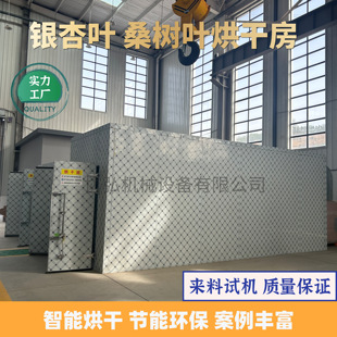 银杏树叶烘干房 白果叶飞蛾叶药材烧生物颗粒烘烤房 桑树叶烘干机