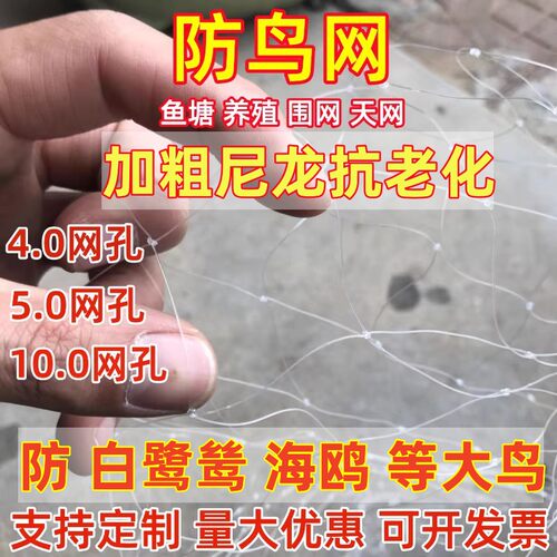 钓鱼线材质防鸟网鱼塘天网