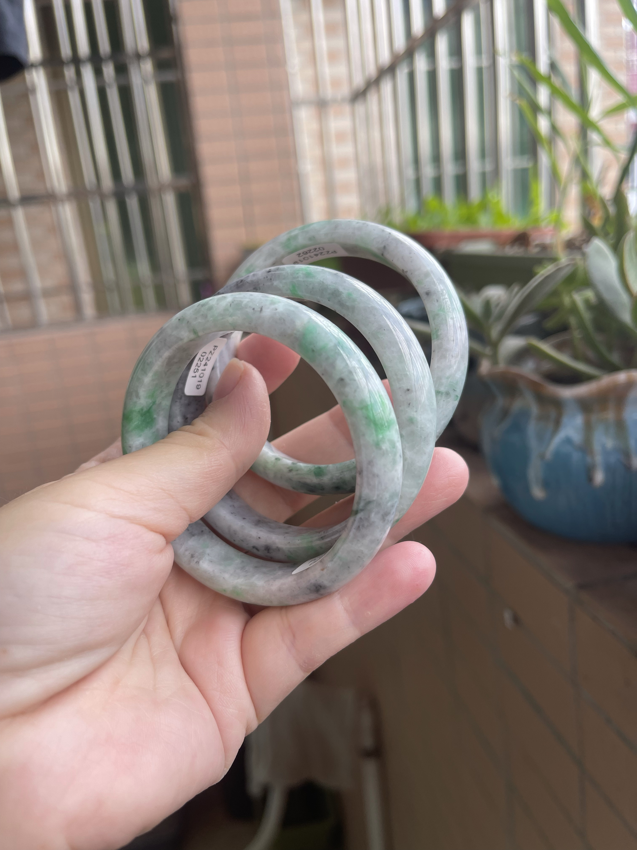 54绿乌鸡半山水特色阳绿冰乌鸡缅甸翡翠玉镯证书保真