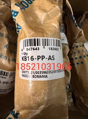 INA直线球轴承KBO12 16 20 25 30 40 50 KB12 16 20 25 30PP AS