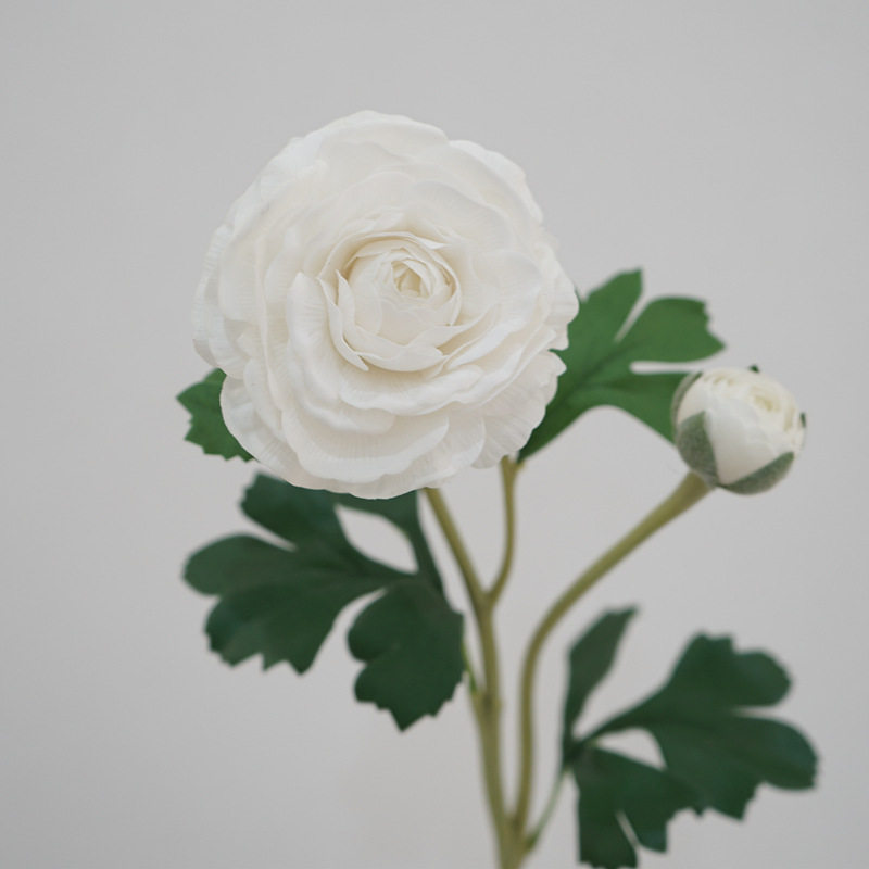 高品质手感保湿露莲花清