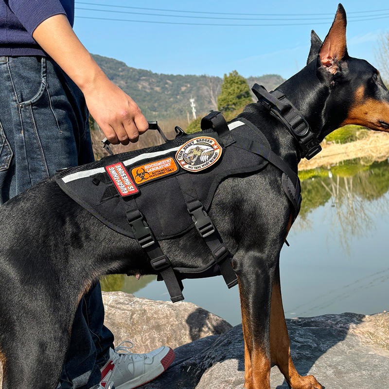 捍卫者战狗术狗胸背带狗牵引绳背心式中大型犬德牧马犬杜宾牵狗绳 宠物/宠物食品及用品 狗牵引绳 原图主图