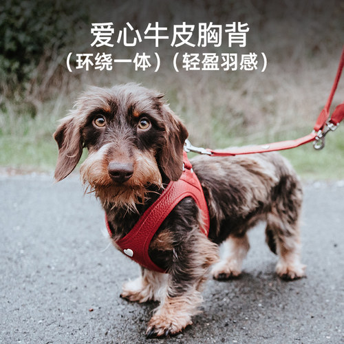 HUNTER真皮爱心舒适胸背