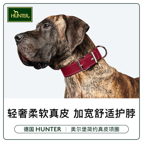 加宽项圈德国进口hunter真皮