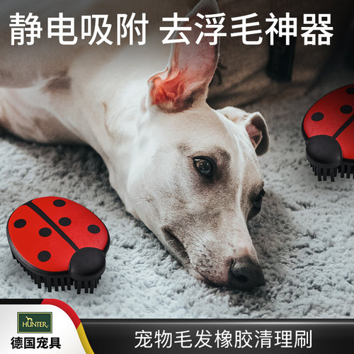 硅胶毛梳德国瓢虫卡通狗狗清理刷