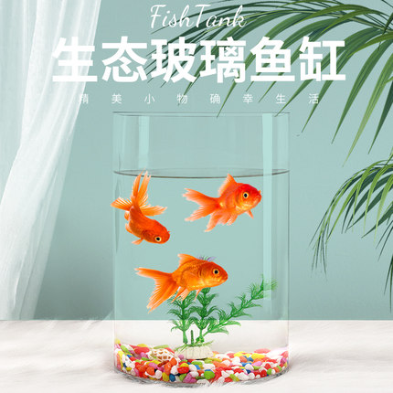 摆件金鱼缸 玻璃 水族箱小型创意生态圆形 圆柱大号乌龟缸 造景配