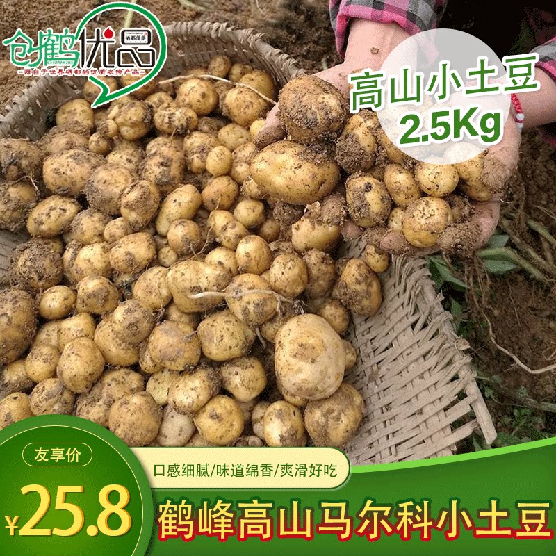 2023现挖恩施小土豆新鲜农家高山黄心马尔科鹤峰洋芋 2.5kg包邮
