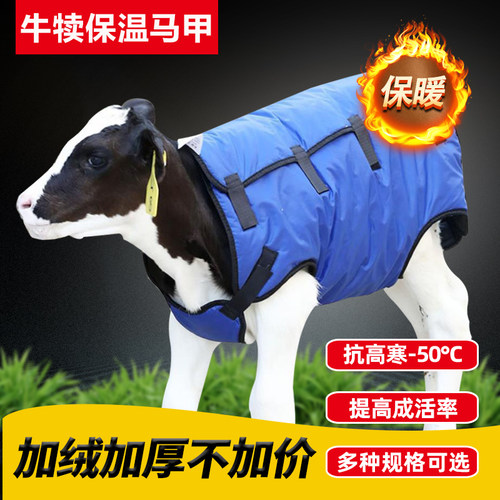 牛犊保暖马甲牛犊保温防寒服