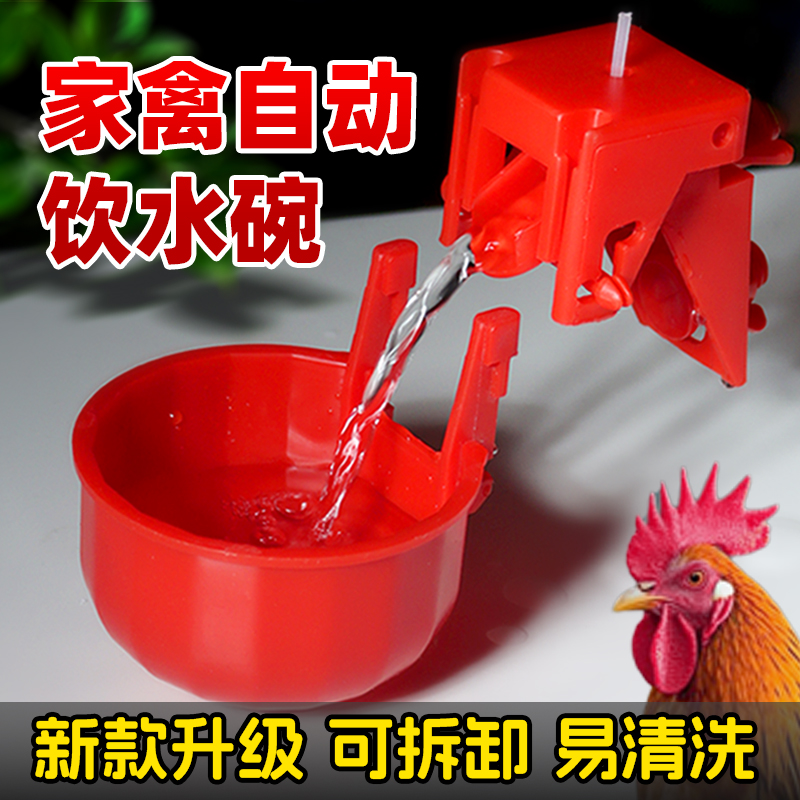新款可拆卸鸡用饮水器自动喂食器