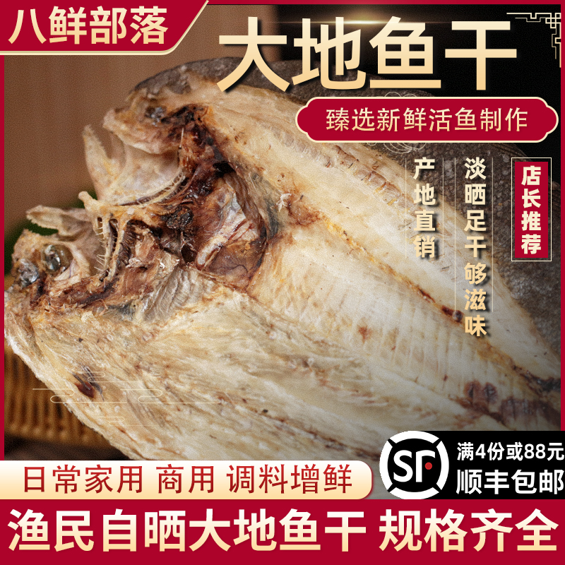 潮汕特大翅脯鱼铁脯鱼干大地鱼干