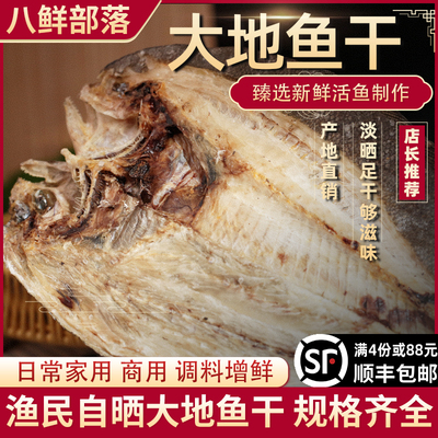 潮汕特大翅脯鱼铁脯鱼干大地鱼干