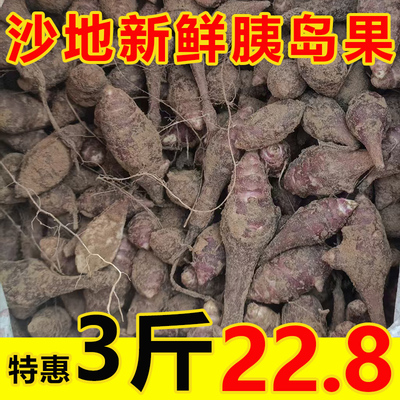 胰岛果3斤新鲜现挖沙地菊芋