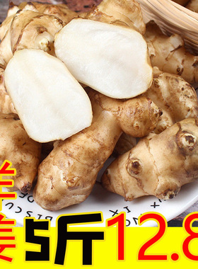 洋姜现挖新鲜5斤生姜种子腌菜蔬菜野生鬼子姜不辣菊芋头泡菜农家