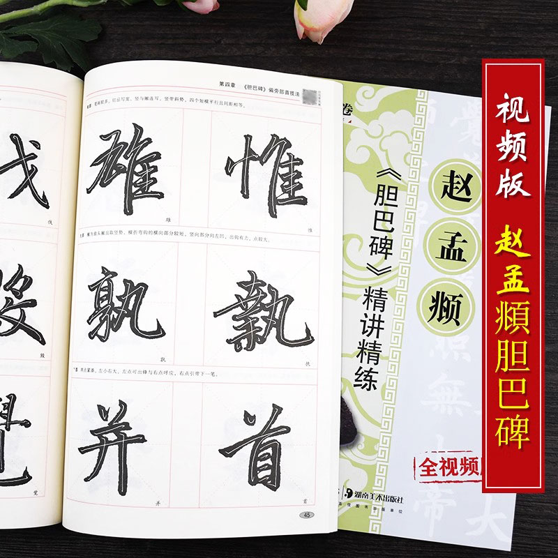 赵孟頫胆巴碑 精讲精练视频版 赵体毛笔楷书书法字帖扫码视频教程 书法等级考试培训教材笔画部首结构讲解华夏万卷 湖南美术出版社