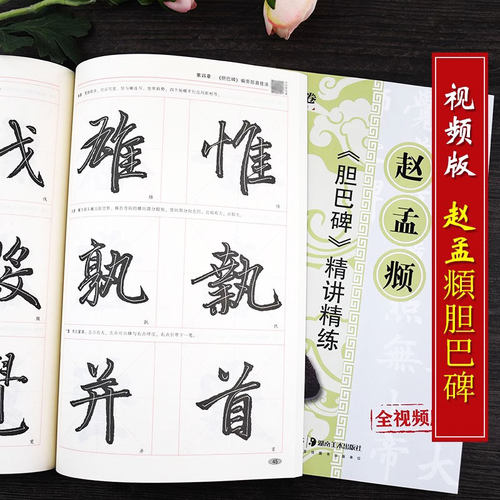 赵孟頫胆巴碑 精讲精练视频版 赵体毛笔楷书书法字帖扫码视频教程 书法等级考试培训教材笔画部首结构讲解华夏万卷 湖南美术出版社