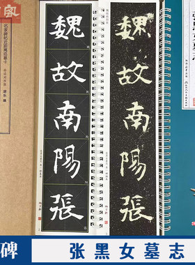 张黑女墓志 名家碑帖近距离临摹卡 共2卷临读对照版（米字格修复放大+原帖）张玄楷书书法毛笔练字帖 附简体旁注 陕西人民美术出版