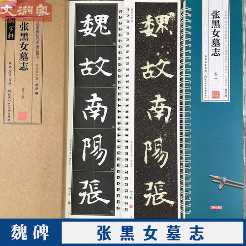 张黑女墓志 名家碑帖近距离临摹卡 共2卷临读对照版（米字格修复放大+原帖）张玄楷书书法毛笔练字帖 附简体旁注 陕西人民美术出版