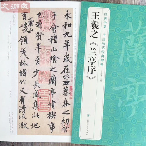 王羲之兰亭序 经典全集中国历代经典碑帖 行书原帖全文书法毛笔练字帖 附简体旁注 中国美术学院出版社