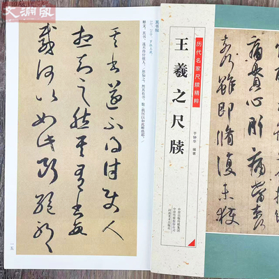 王羲之尺牍 历代名家尺牍精粹 碑帖书法作品集 王羲之手札行书草书书法临摹毛笔练字帖附简体旁注 河南美术出版社