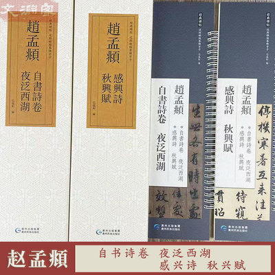 自书诗卷夜泛西湖感兴诗秋兴赋