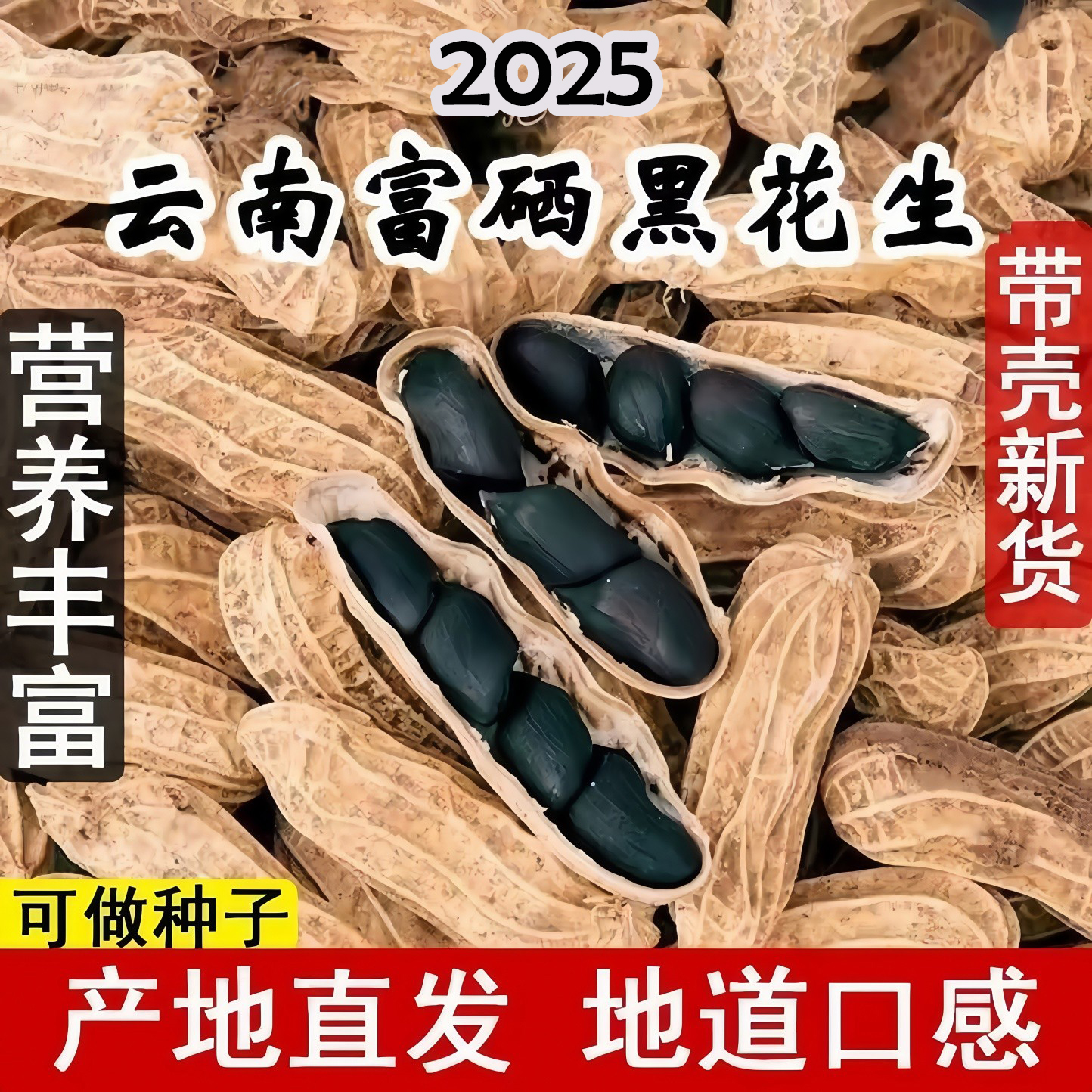 2025正宗老品种小粒黑花生富硒