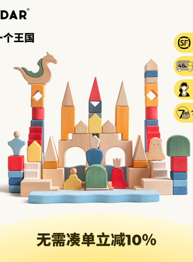 AVDAR有一个王国儿童玩具积木蒙氏早教益智拼装木质男女孩1岁玩具