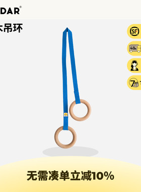 AVDAR吊环儿童训练小孩拉手单杠引体向上拉环健身运动家用吊环