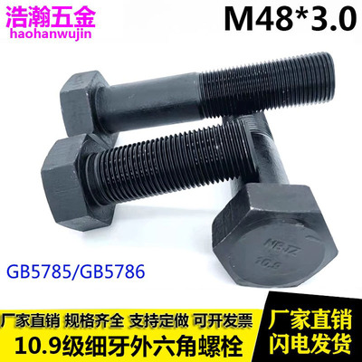 国标细牙外六角螺丝M48X3